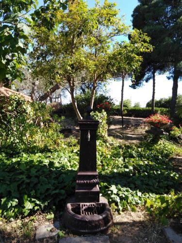 B&B La Rucchetta