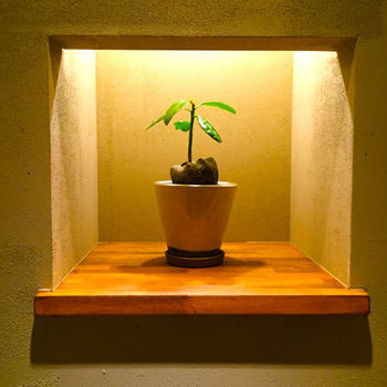 Kyoto Hostel Fairfield House