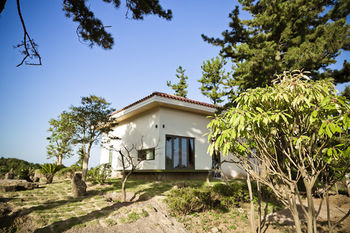 Hotel Color In Jeju