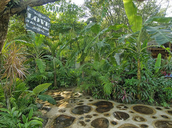 Posada Ocho Artisan Bungalows