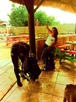 Albergue The Venue - Utila