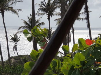 Posada Duna Lodge