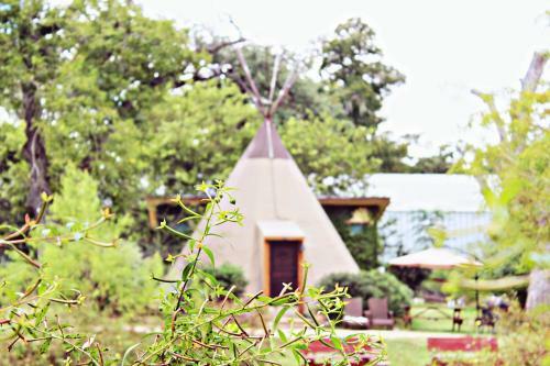 Tipi 1 Prancing Deer