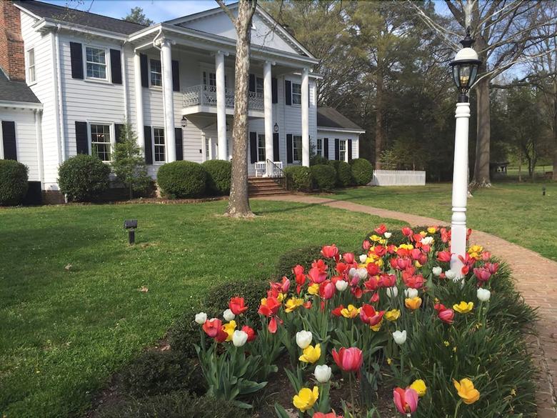Bed & Breakfast The Virginia Cliffe Inn