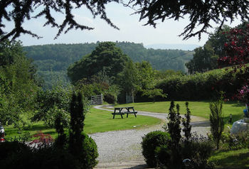 Plas Efenechtyd Cottage B&B