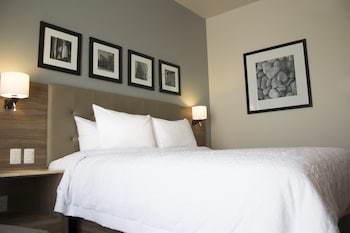 Hotel Hampton Inn By Hilton Durango