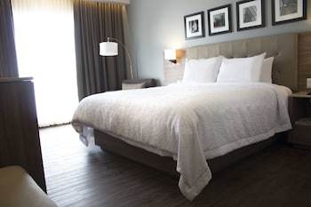 Hotel Hampton Inn By Hilton Durango