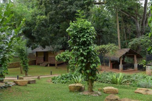 Hotel Serendib Signature Resort