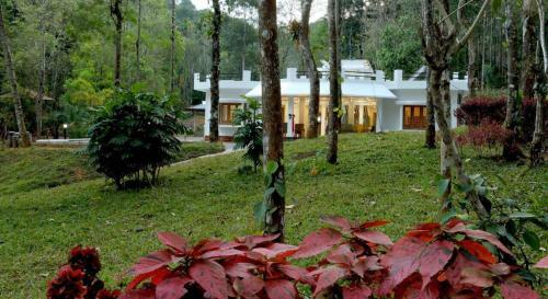 Hotel River Havan