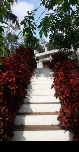 Hotel River Havan