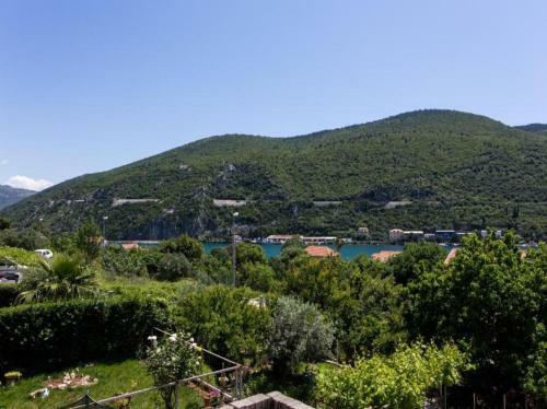 Hostal Guest House Rosa Bianca