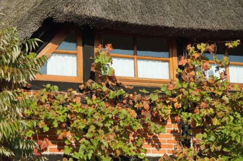 Apartamento Ferienappartement Bauernrose