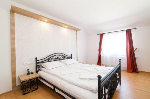 Hotel Pensiunea Marea Alpina, Maramures