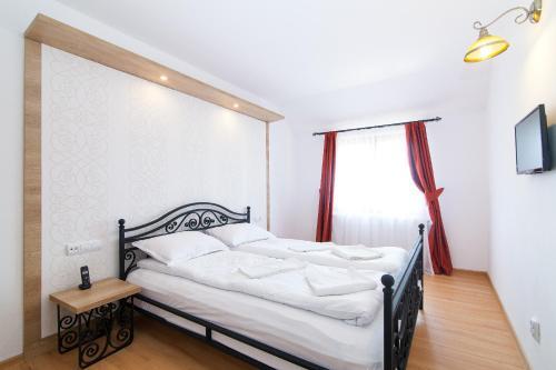 Hotel Pensiunea Marea Alpina, Maramures