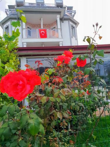Green Garden Otel