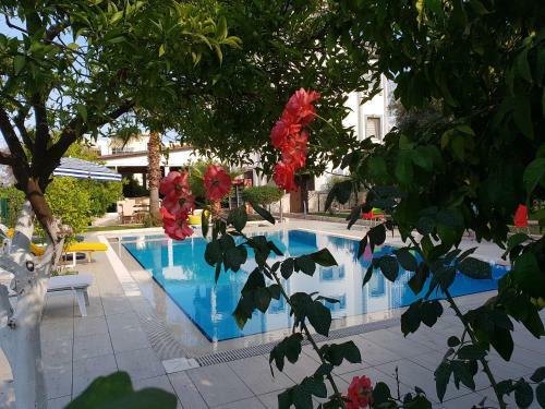 Green Garden Otel