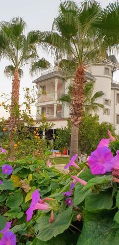 Green Garden Otel