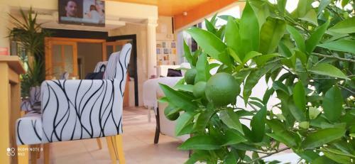 Green Garden Otel