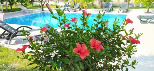 Green Garden Otel
