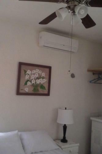 Casa Palmera