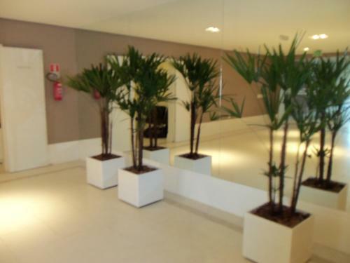 Apartamento Poa Para Executivos