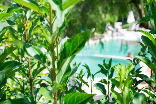 Hotel Terme Del Tufaro