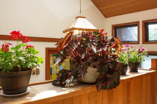 Bed & Breakfast Coles Bay Vacation Retreat