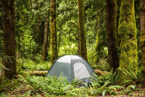 Mount Hood Village Yurt 1