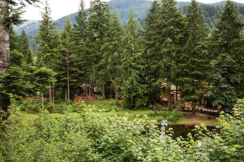 Mount Hood Village Deluxe Cabin 5