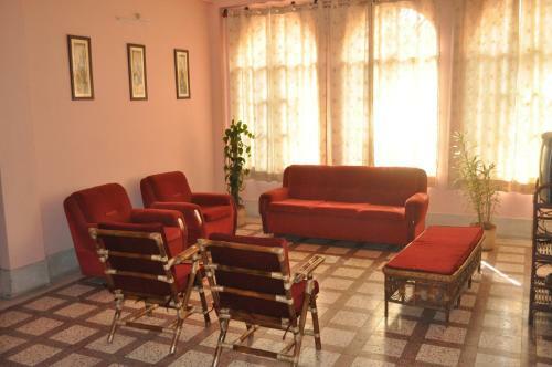 Saikia Nest