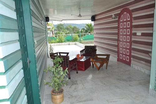 Saikia Nest