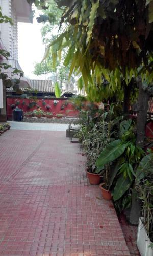 Saikia Nest
