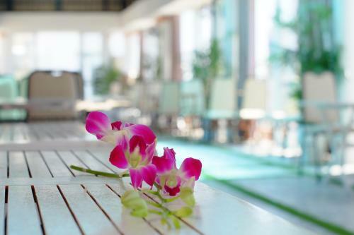 Thanh Hoang Chau Hotel