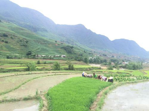 Lodge Sapa Terrrace House