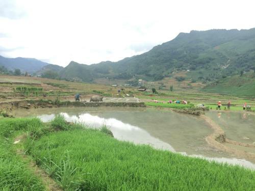 Lodge Sapa Terrrace House