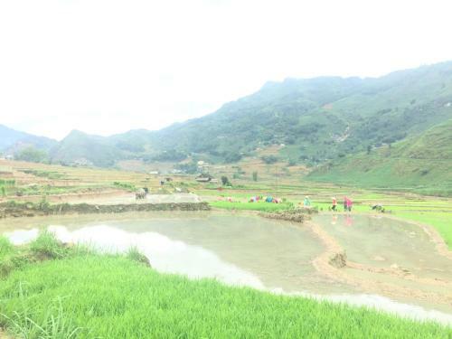 Lodge Sapa Terrrace House