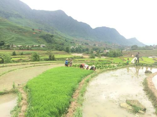 Lodge Sapa Terrrace House