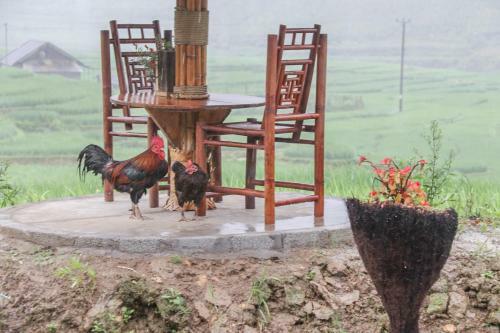 Lodge Sapa Terrrace House