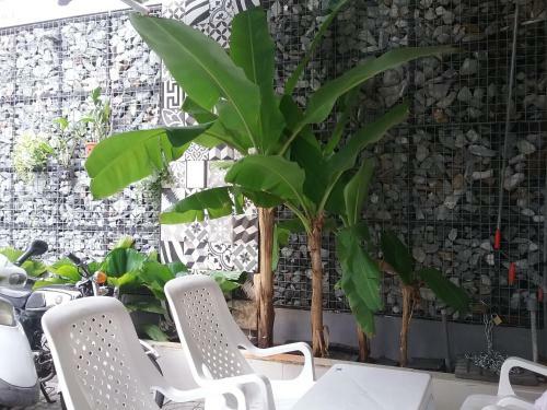 Sky Garden Apartment