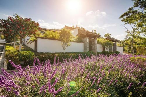 Villa Dali Loving Romance Hotel
