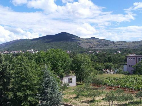 Hostal Casa Gagro