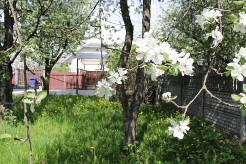Hostal Jasmin Guest House