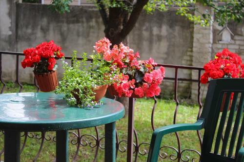 Hostal Jasmin Guest House