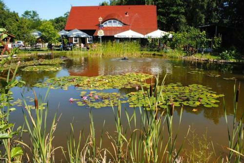 Hostal Bismarcksch�nke