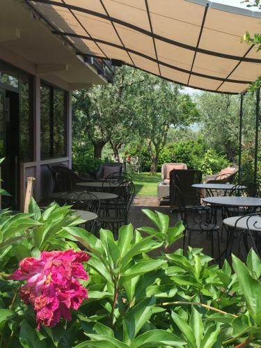Hotel Clodia