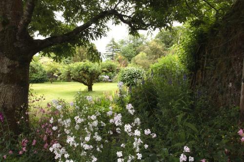 Bed & Breakfast Willowhill House