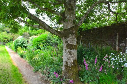 Bed & Breakfast Willowhill House