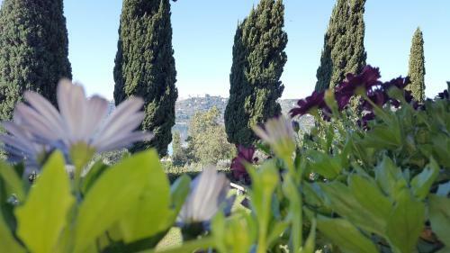 Bed & Breakfast Il Nido Del Falco