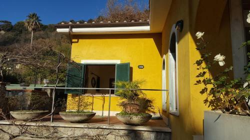 Bed & Breakfast Il Nido Del Falco