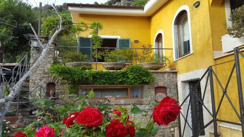 Bed & Breakfast Il Nido Del Falco